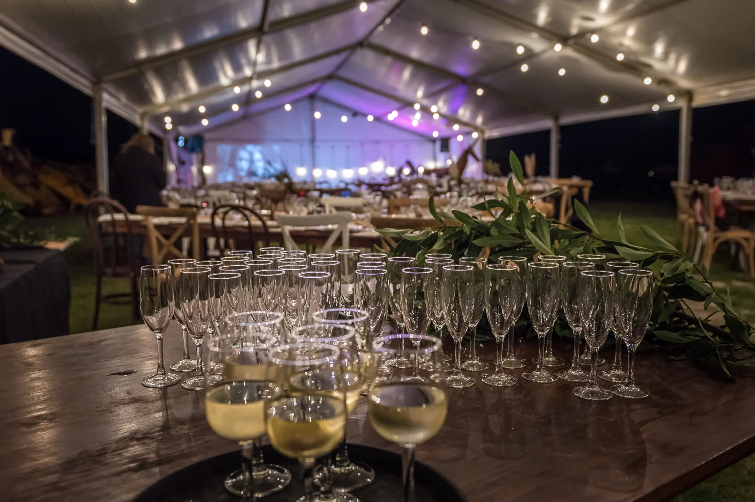 Website - events-138.jpg