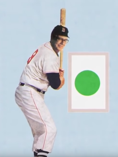 ted williams strike zone