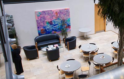 BLOOPERSUASION The painting BLOOPERSUASION installed at Bank of Ireland’s Economic Headquarters, Mespil Road, Dublin.