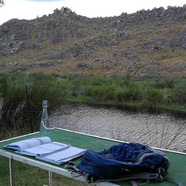 Learning some Czech before tonight's performance at @wolfiefamiliefestival 
#nature #studying #learningczech #hora #reka #heskyvikend #vikend #musician #student #learninganewlanguage #cederberge #mountains #river