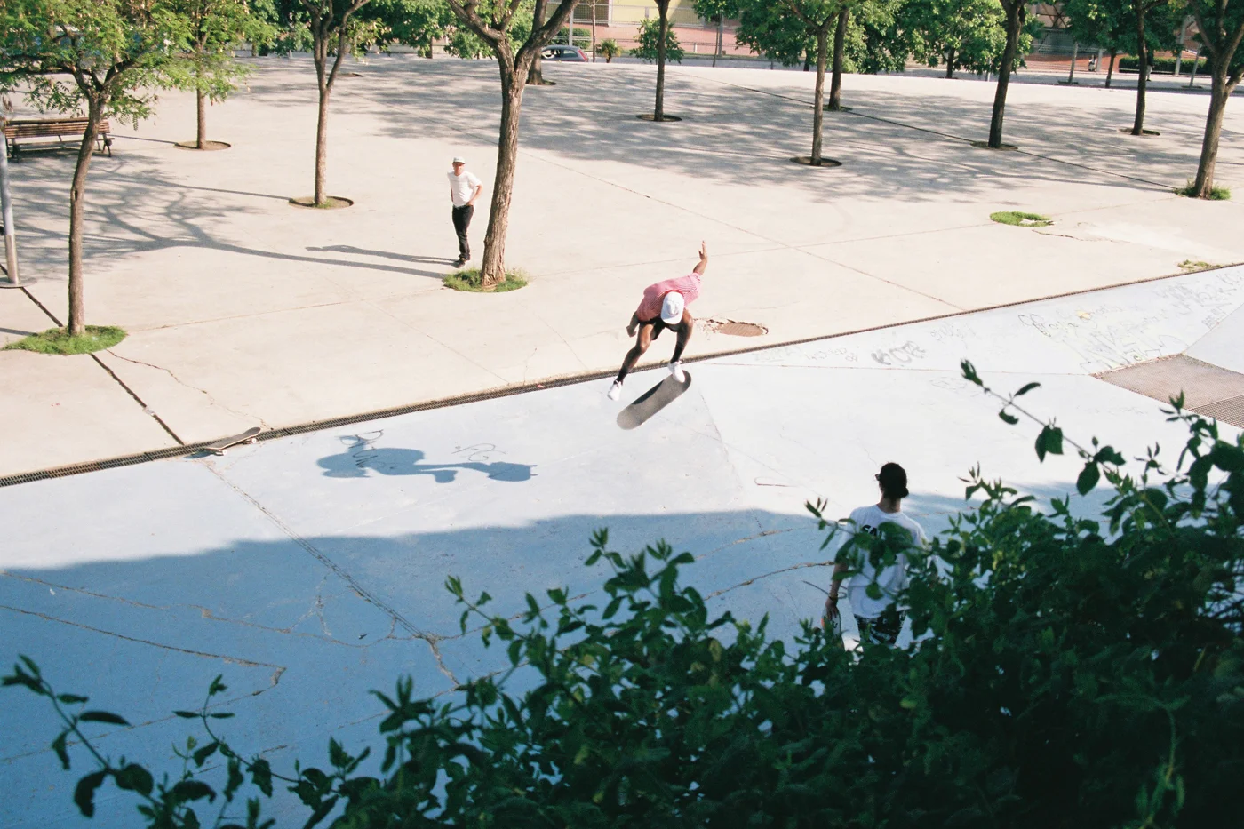 Viva_La_Wright_Salad_Days_Case_Study_0002_Layer+16.jpg