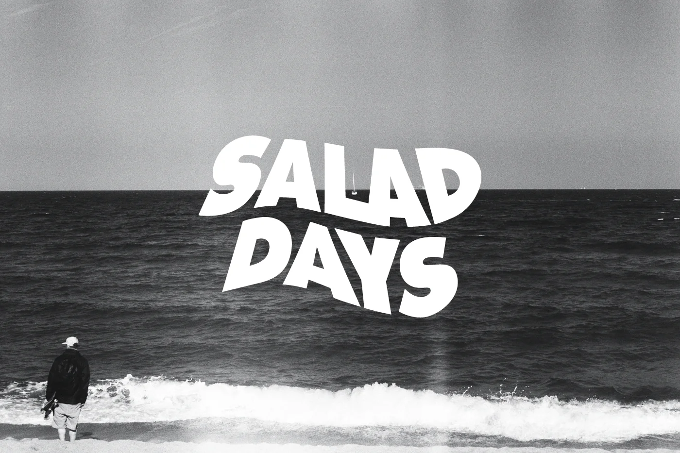 Viva_La_Wright_Salad_Days_Case_Study_0005_Group+4.jpg