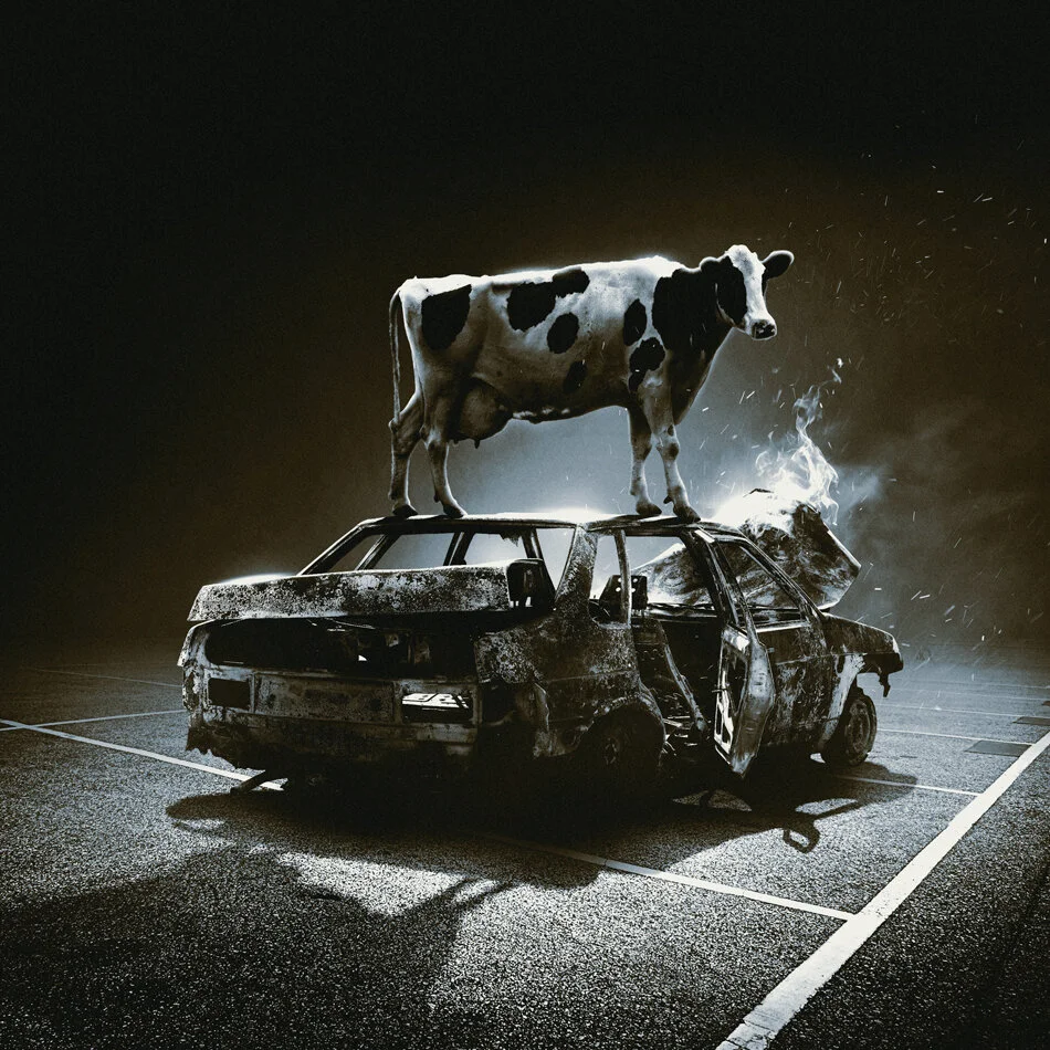 LaHaine_Cow.jpg