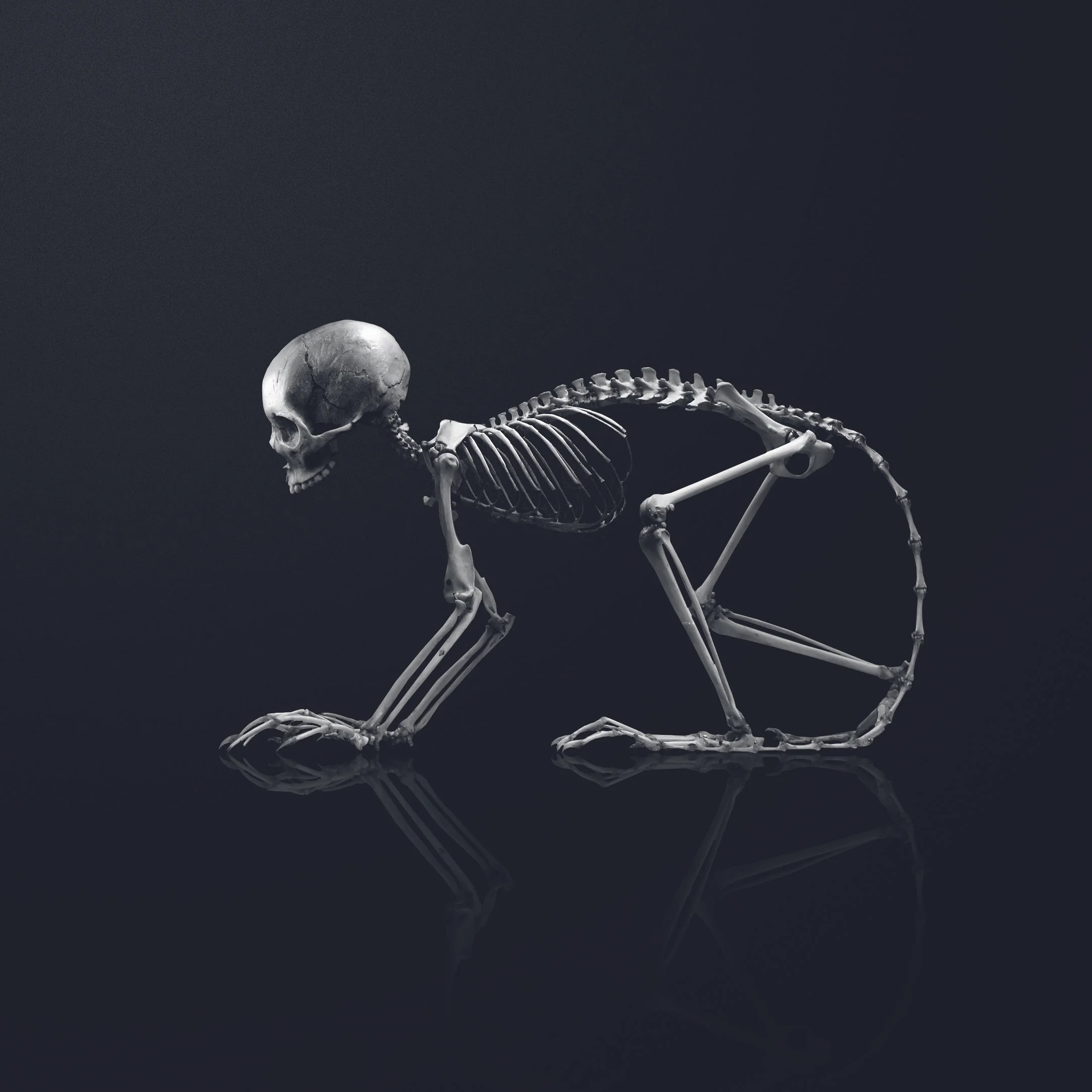 BONES2.jpg
