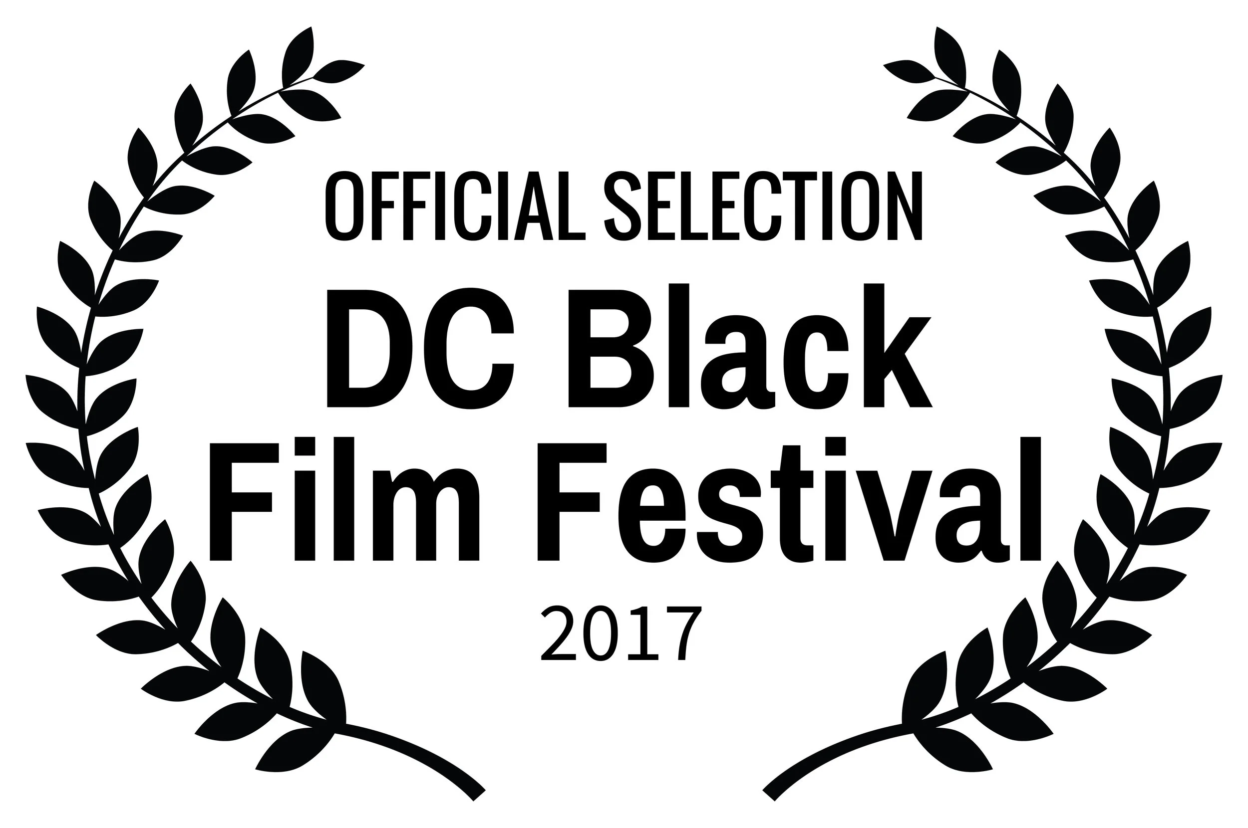 OFFICIALSELECTION-DCBlackFilmFestival-2017 copy.jpg