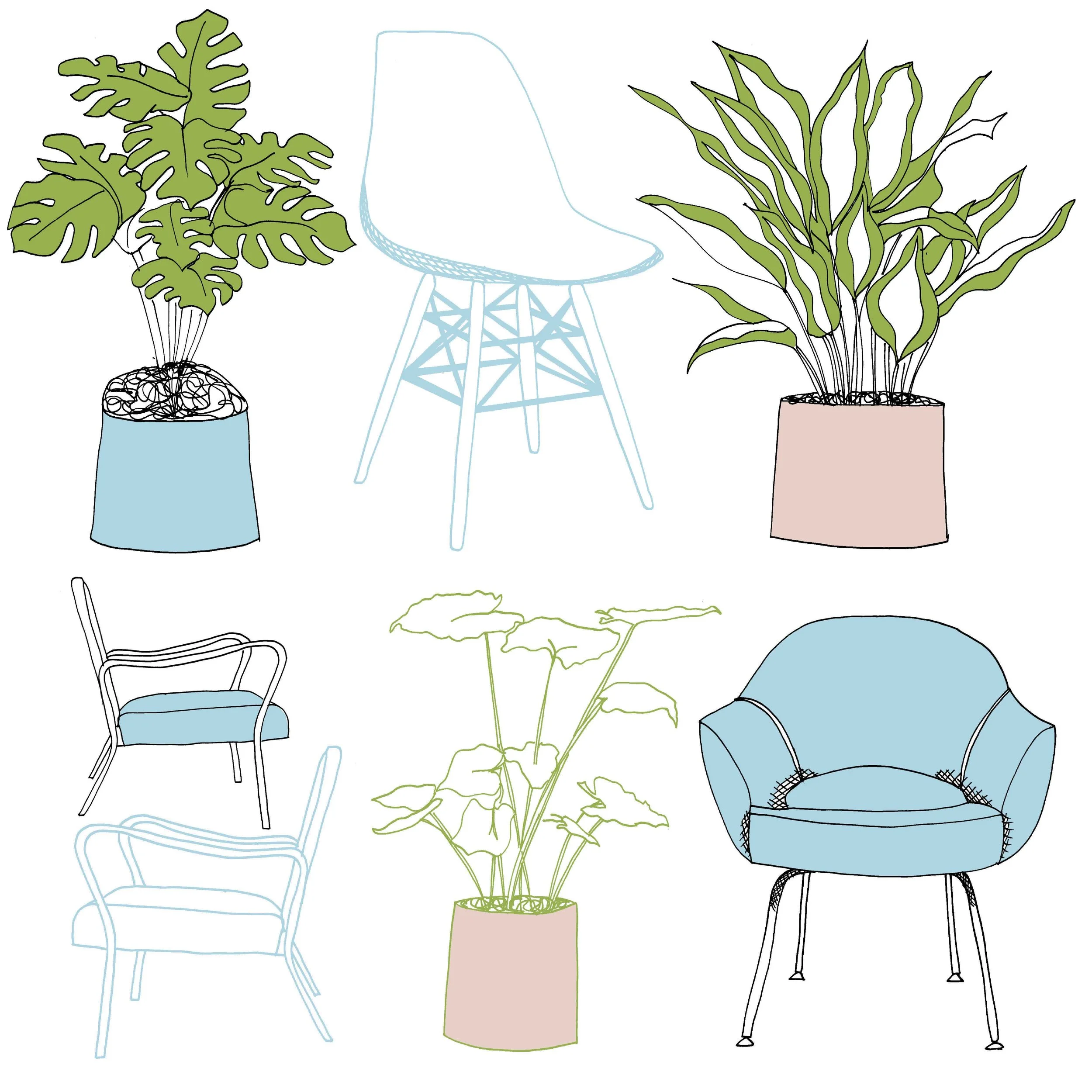 Chairs and Plants Recoloured_edited-1.jpg