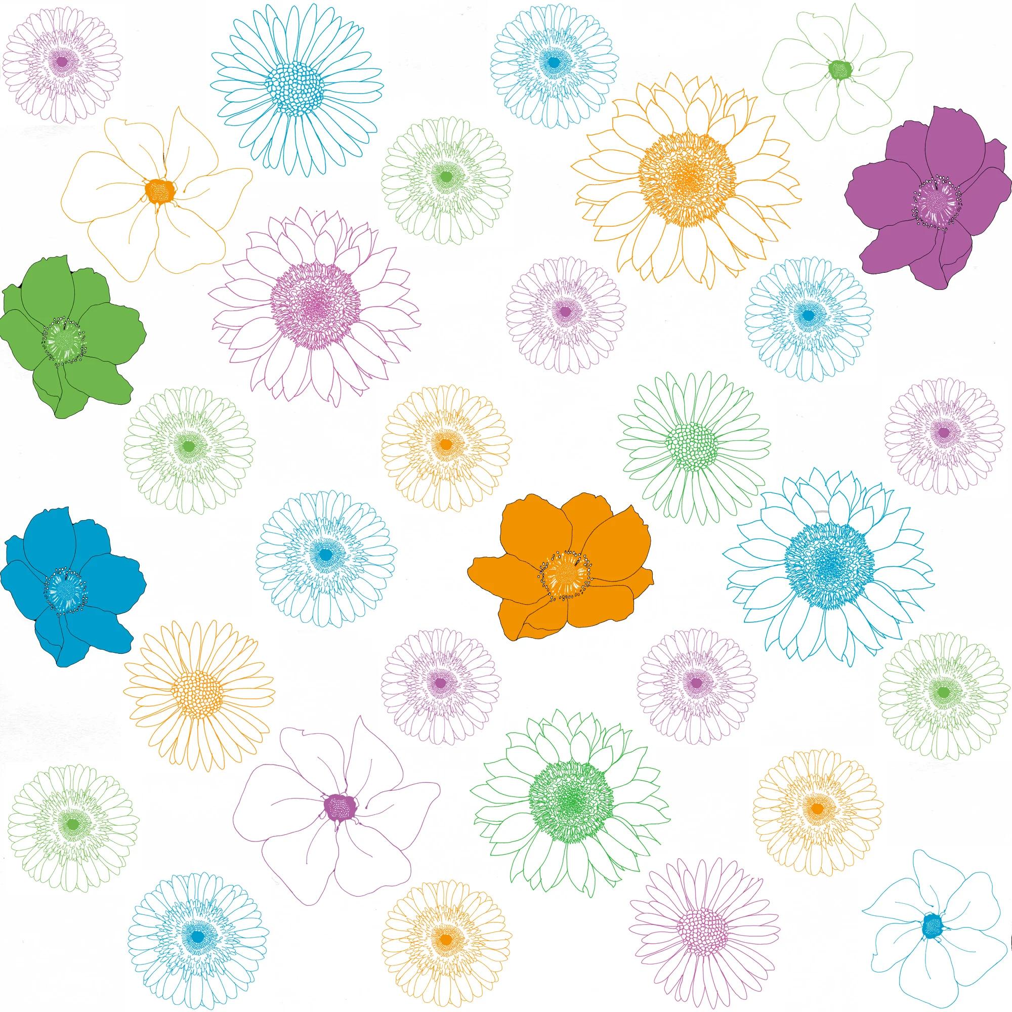 Bright Blooms Polka_edited-1.jpg