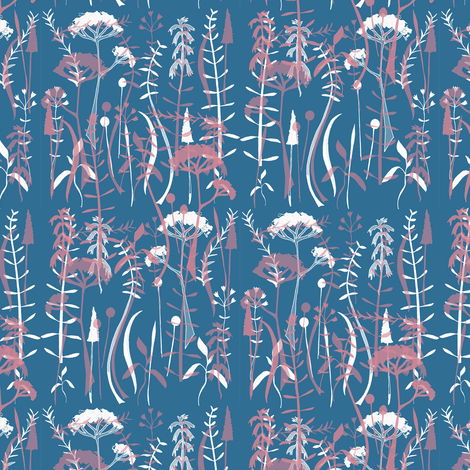 Cyanotype 200px_edited-1.jpg