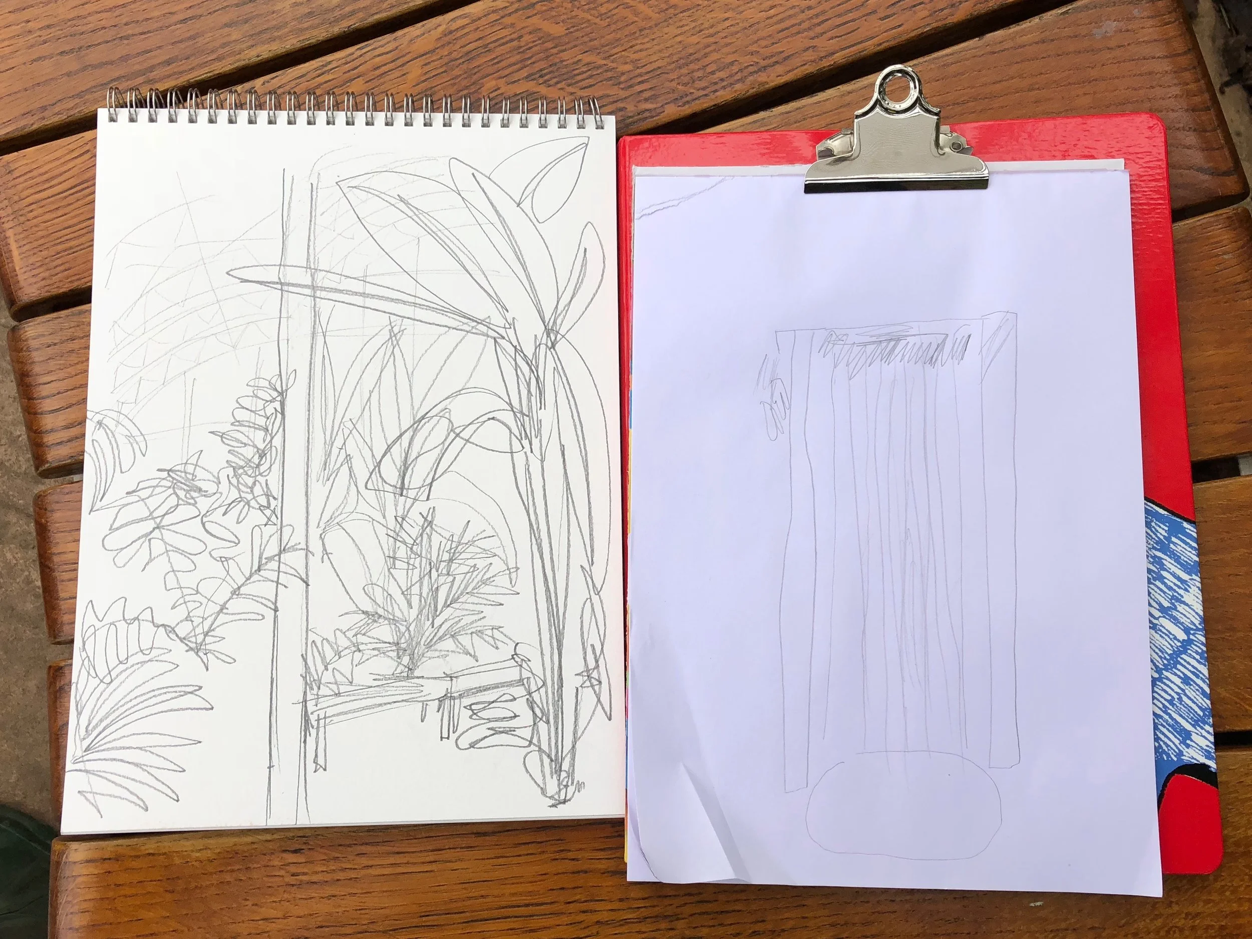 I drew plants and he drew the waterfall…