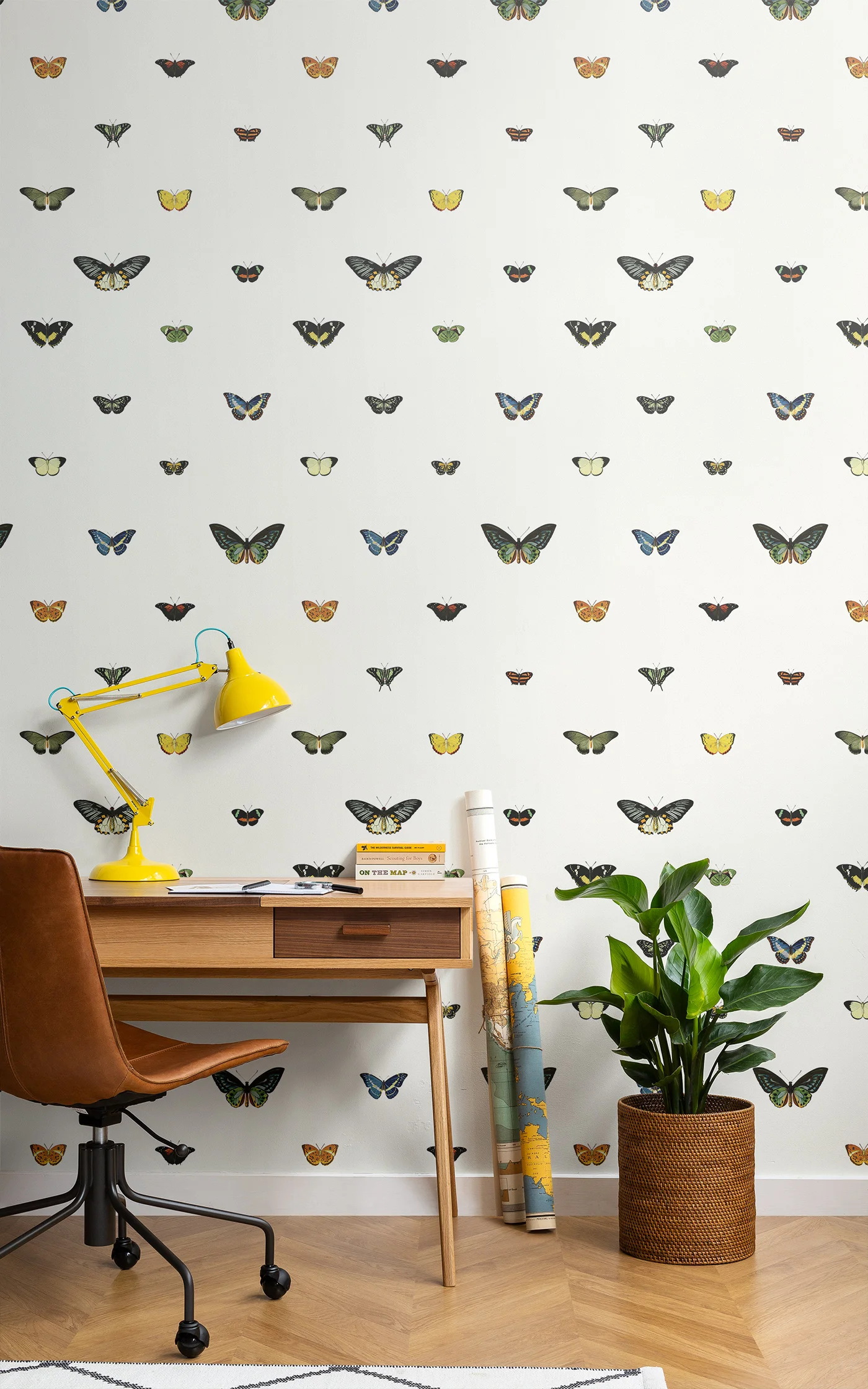 Image (c) Murals Wallpaper