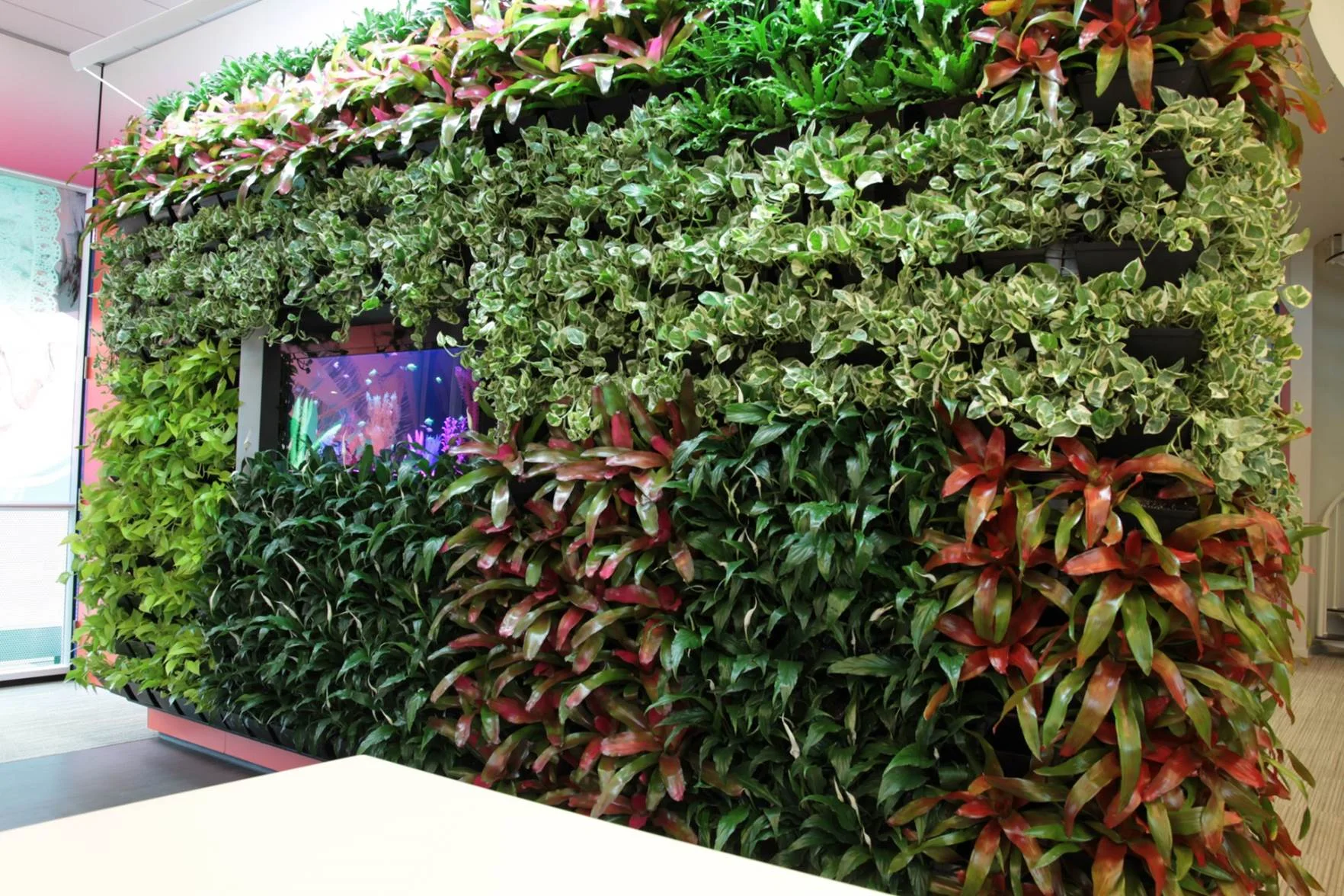 DIRTT Plants.jpg