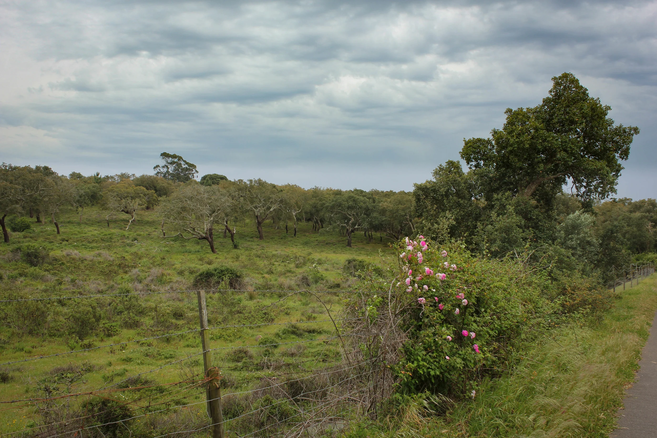 20160500_Portugal_Alentejo_AroundtheTableWorkshops-08.jpg