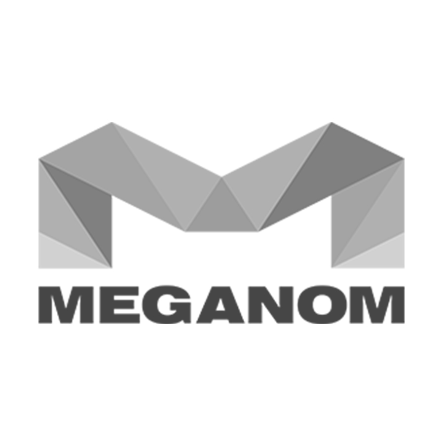 27_Meganom_logo.jpg