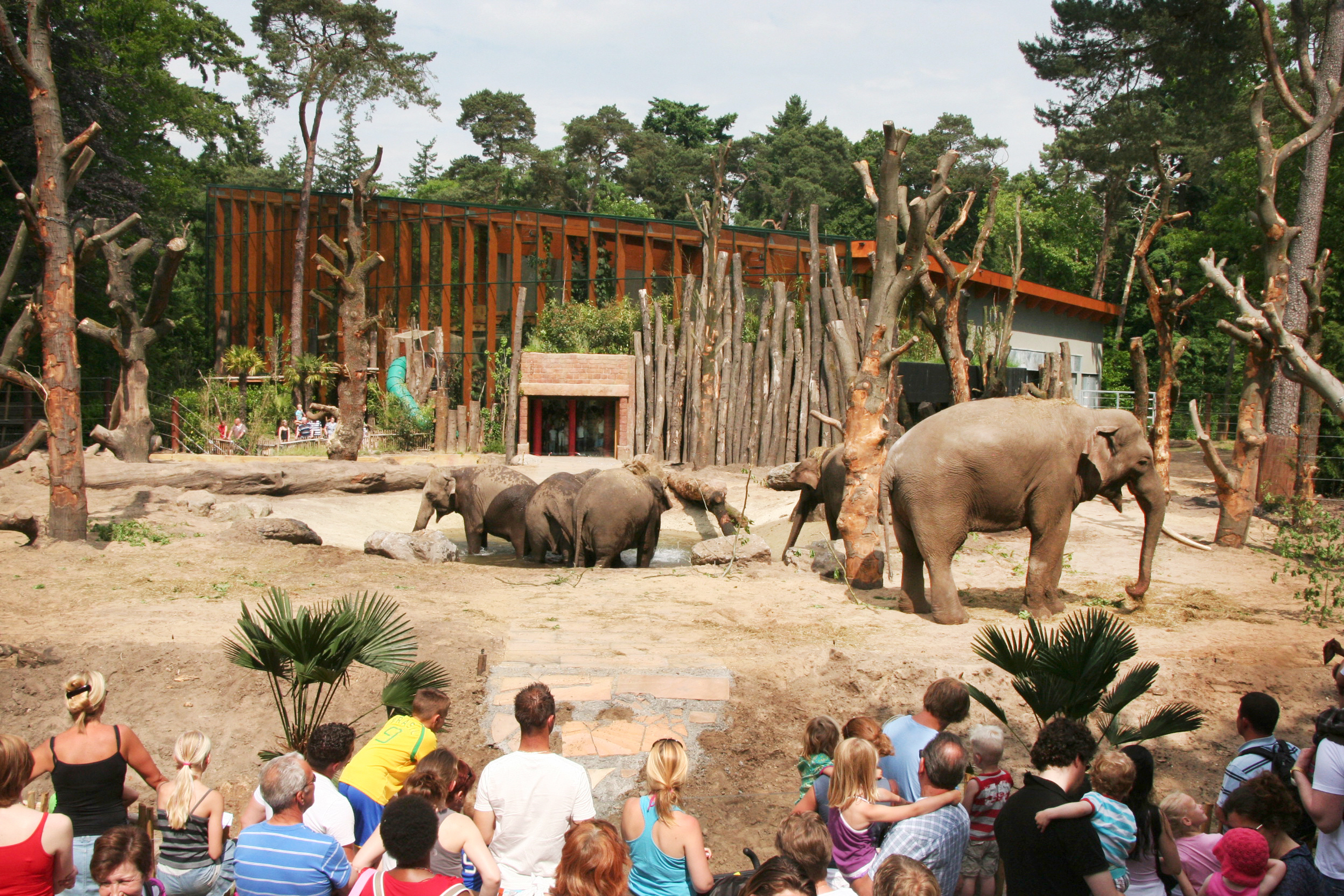 ZOOSITE BENELUX 2012<strong>ZOOSITE Benelux pour le projet Amersfoort Zoo, Pays-Bas</strong>