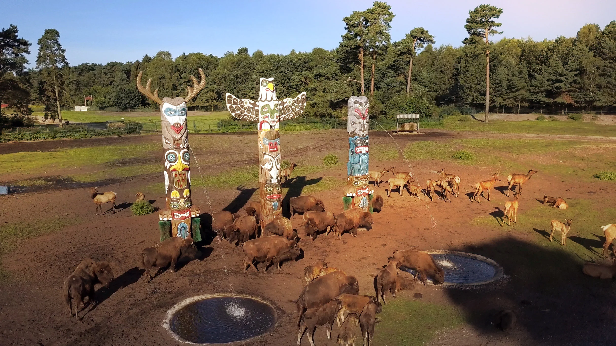 SERENGETI INTERACTIVES TOTEM <strong>| Interactive Safari experience with behavioral enrichment</strong>