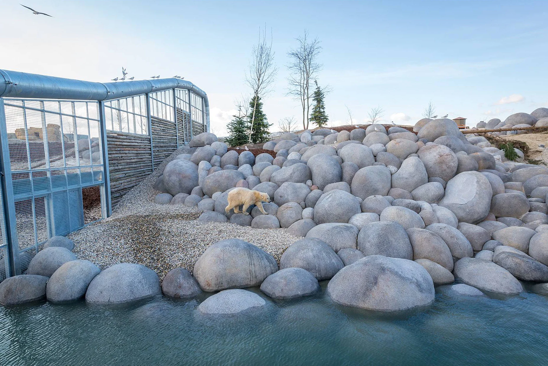 WILDLANDS NORTICA <strong>| A polar adventure in the Netherlands’ wildest park</strong>