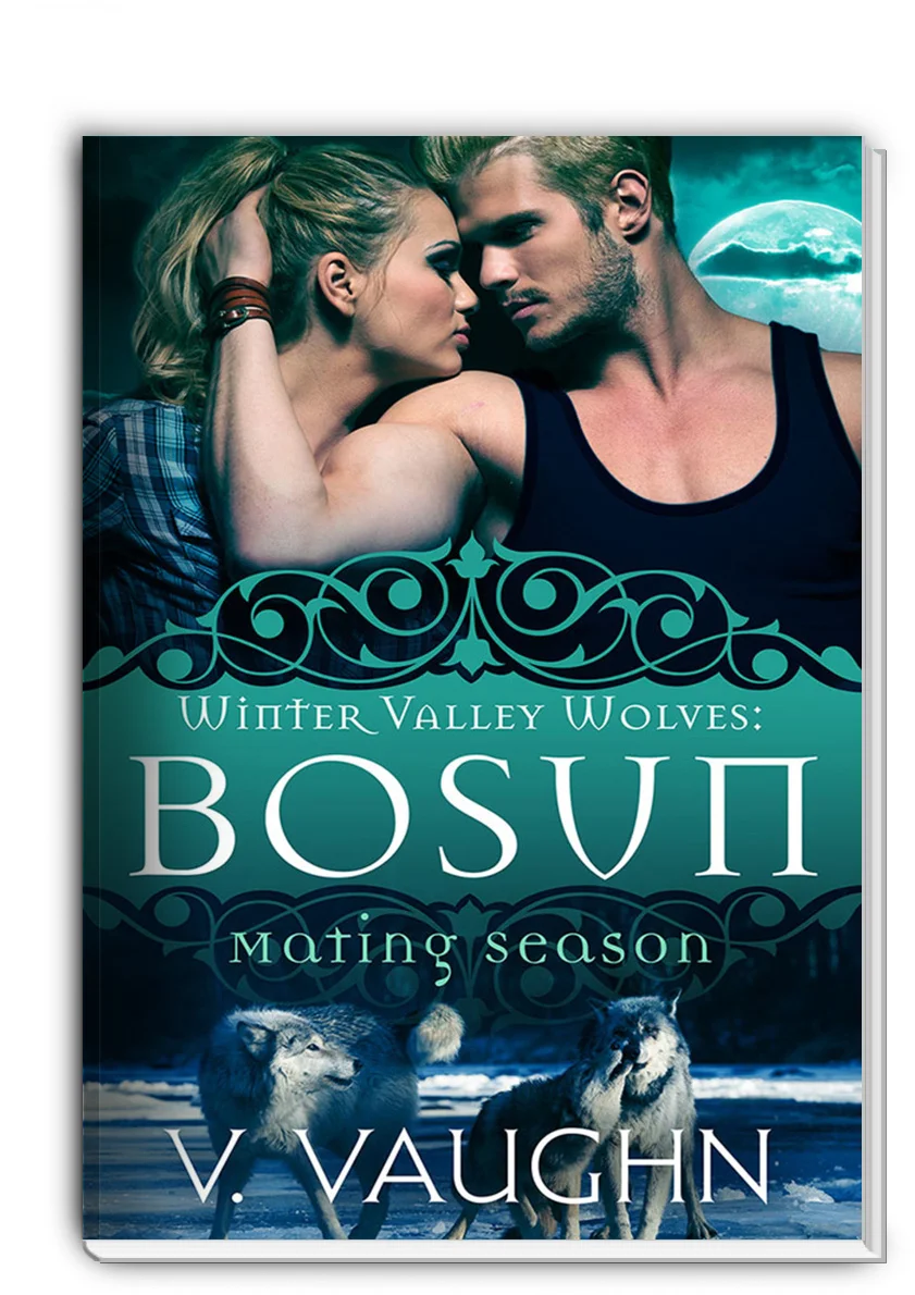 bosun paper.jpg