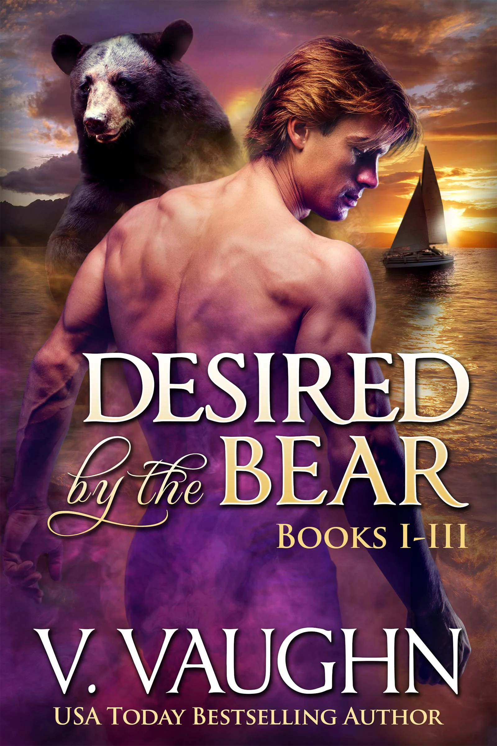 desired_set_cover.jpg