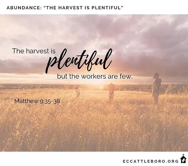 #eccattleboro #christian #church #grace #christianliving #inspire #inspired #inspirational #beinspired #dailyinspiration #love #wisdom #leader #trust #jesus #jesuschrist #lord #faith #worship #wordofgod #ministry #tellothersofgodslove #prayaboutit #liftothersup