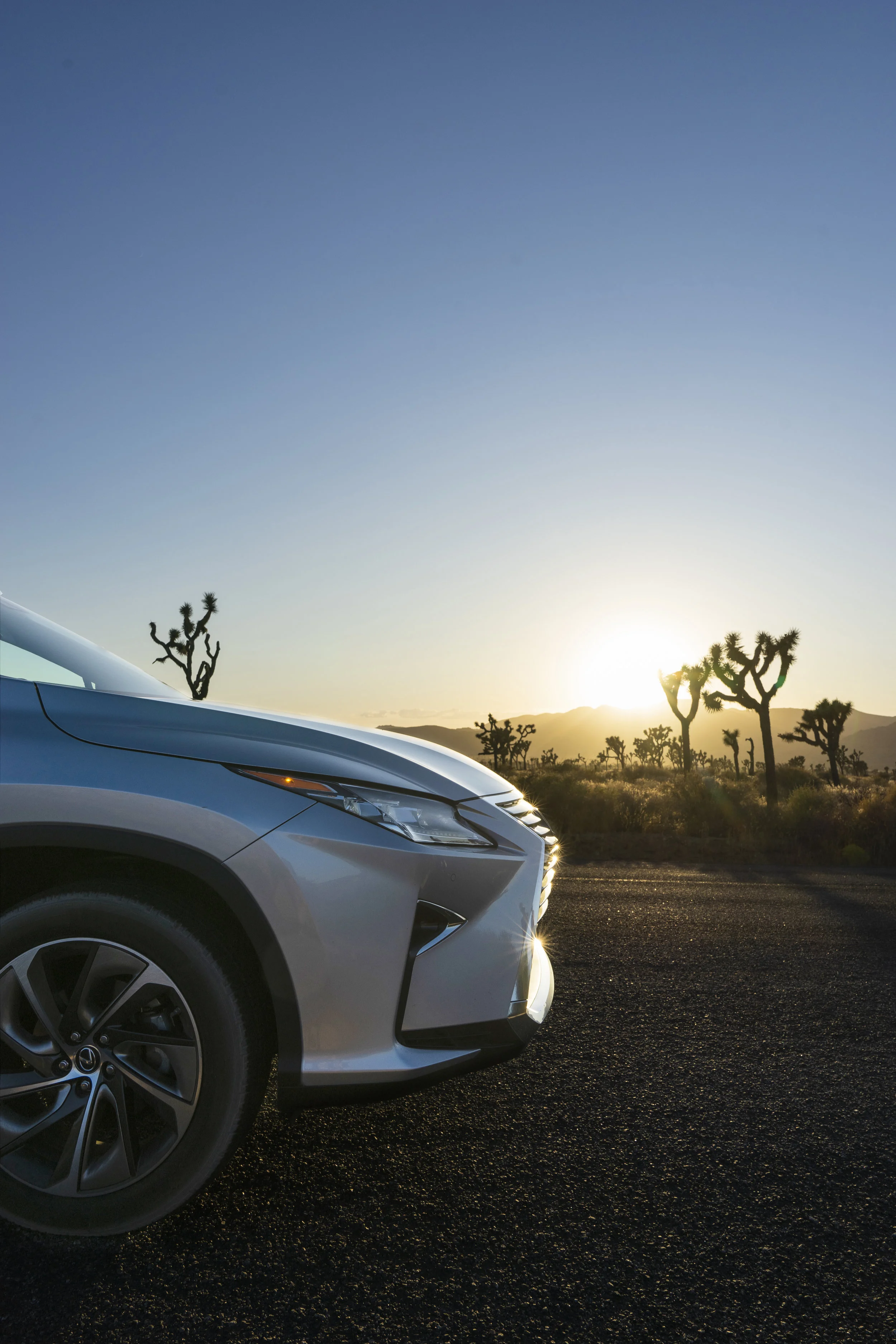 hey-yeh-lexus-RXL-02.jpg