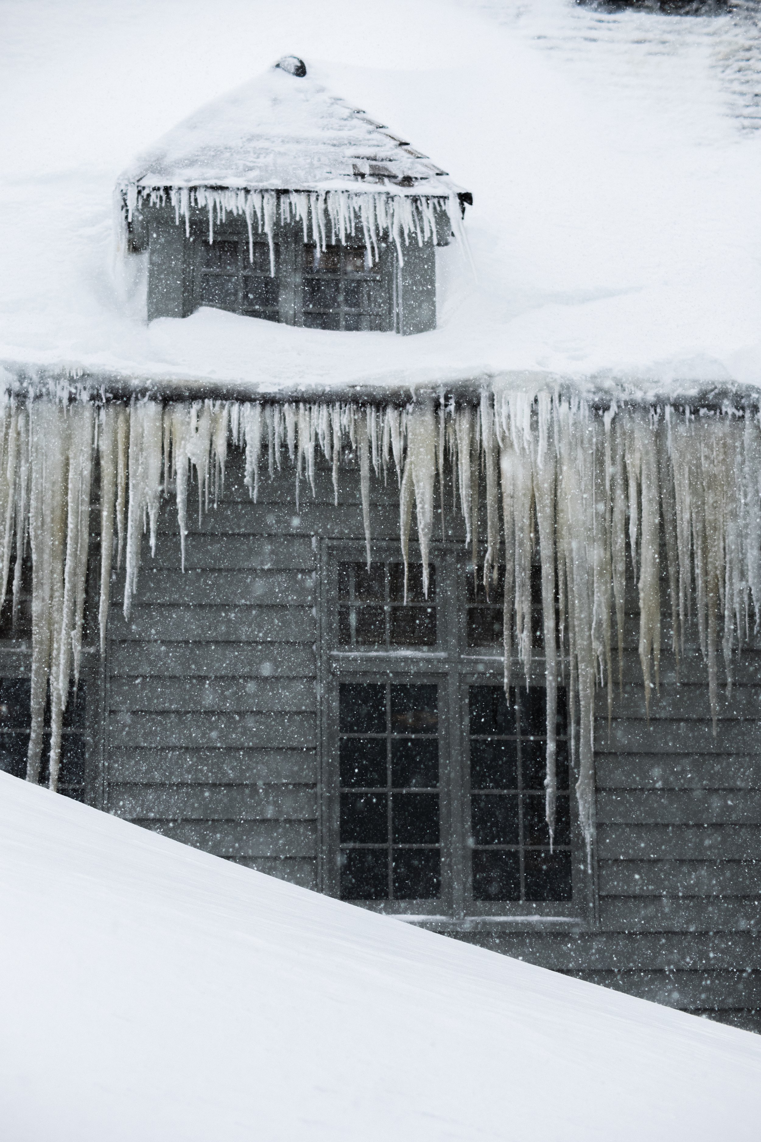 lodge nucleic _1.jpg