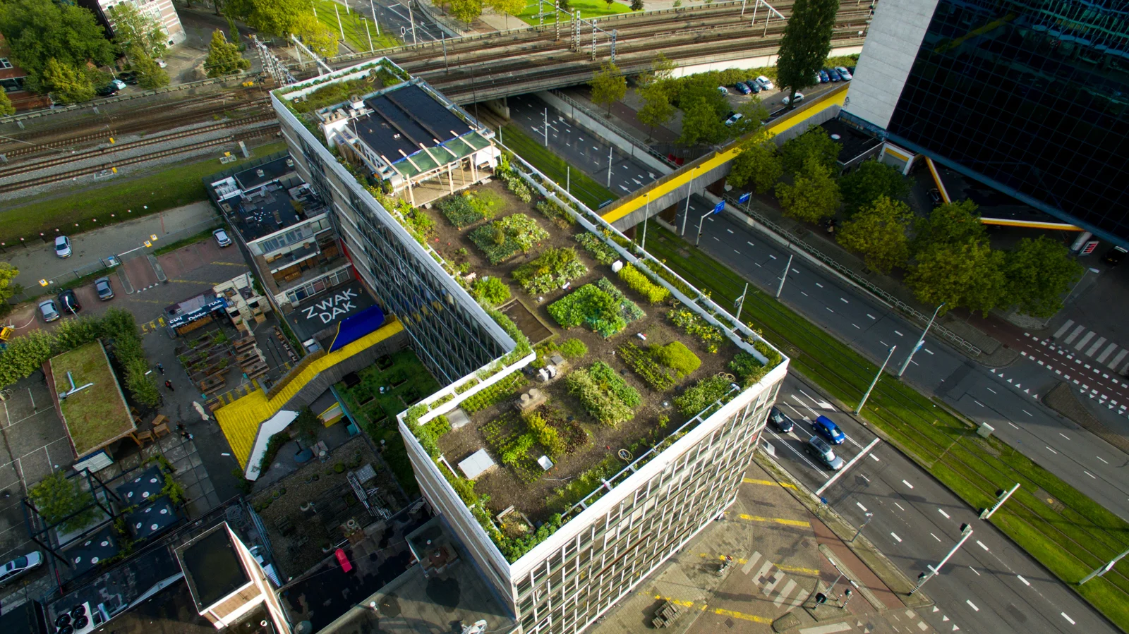 Beoogde situatie (DakAkker, Rotterdam)