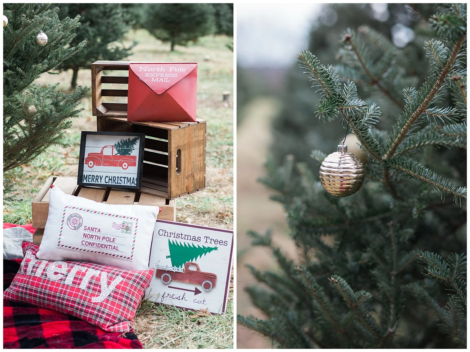 ChristmasTreeFarm_StyledShoot_0011.jpg