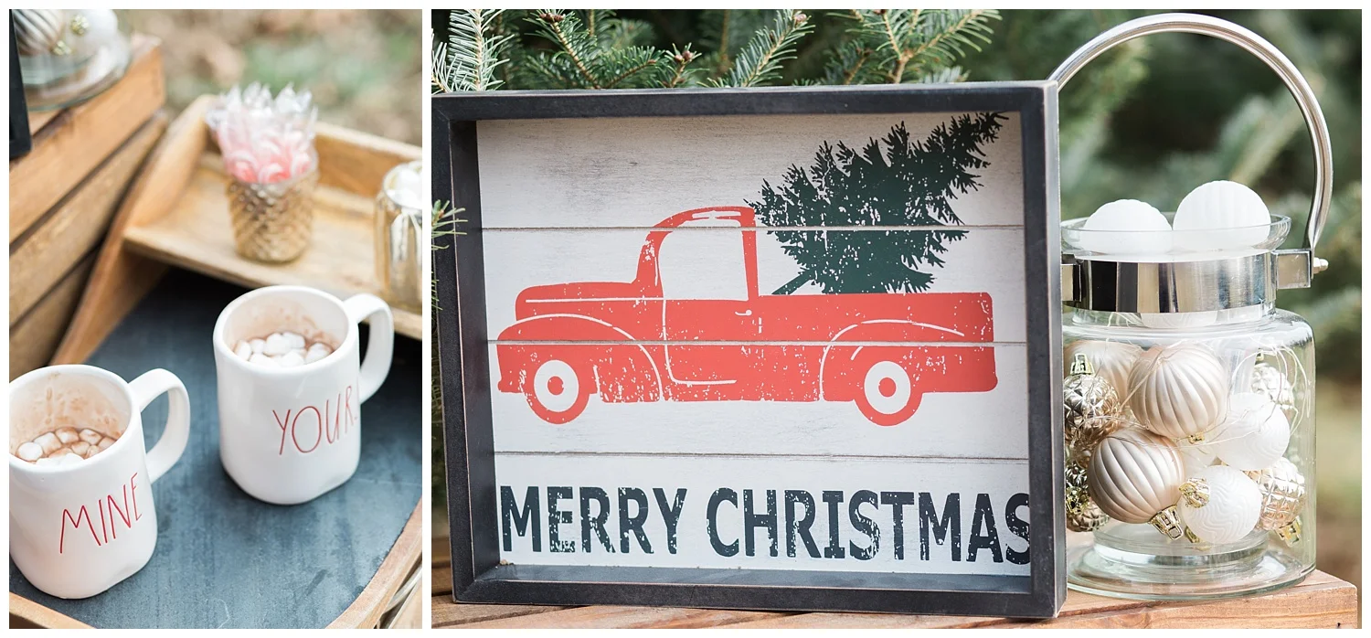 ChristmasTreeFarm_StyledShoot_0020.jpg