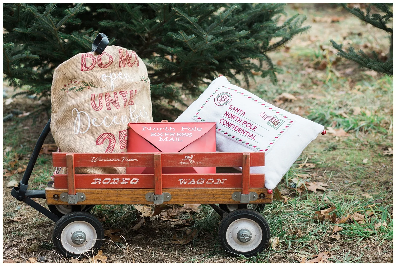 ChristmasTreeFarm_StyledShoot_0021.jpg
