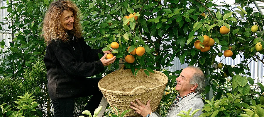 Bénédicte et Michel Bachès