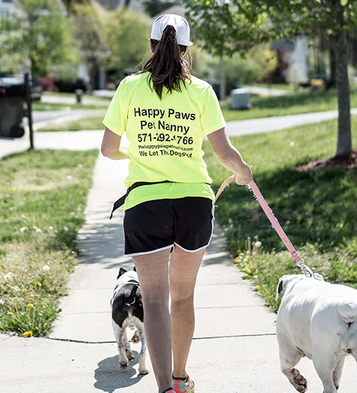 Pet Sitter Happy Paws Pet Care Happy Paws Pet Happy Paws Pet