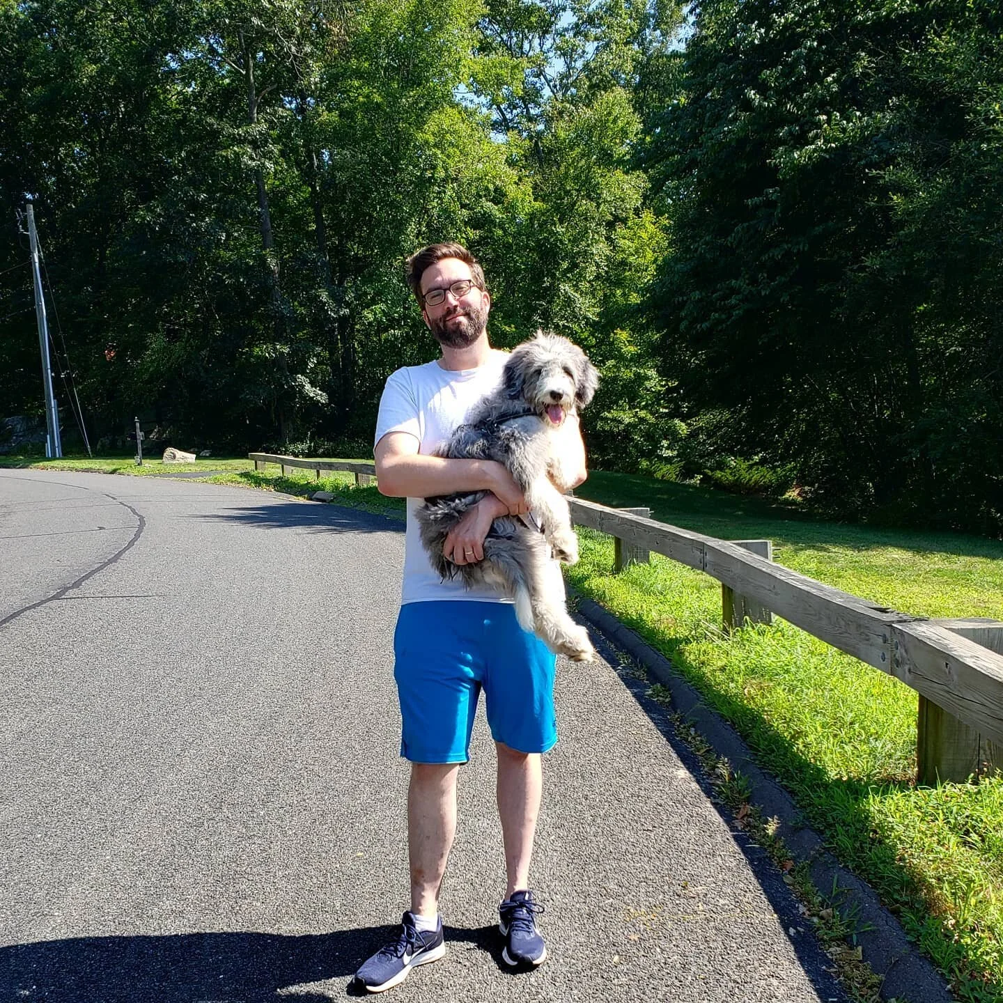 #griffintuohy shot from last week. He's becoming quite the big #pup. 

#aussiedoodle