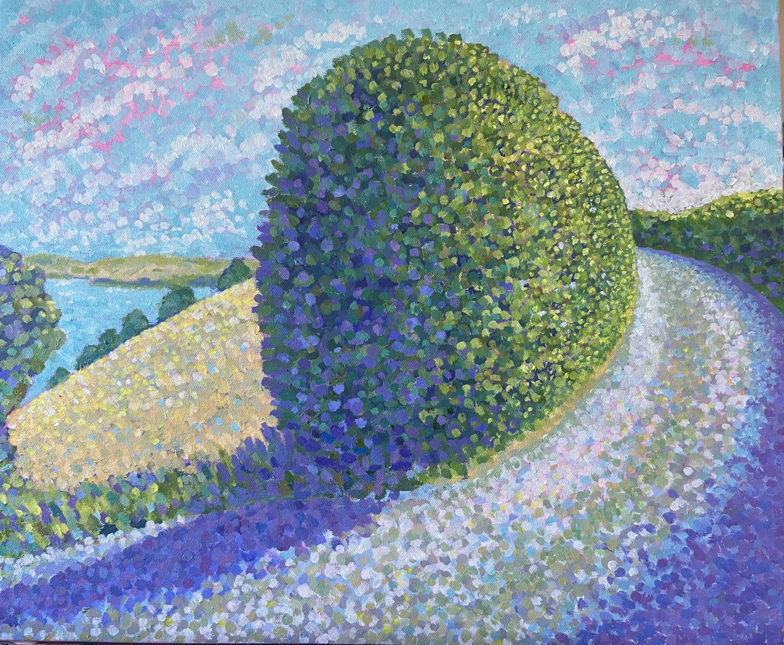 Snape Point Hedge Good 1.jpeg