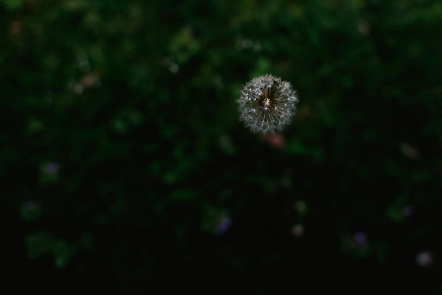cretography-3980.jpg