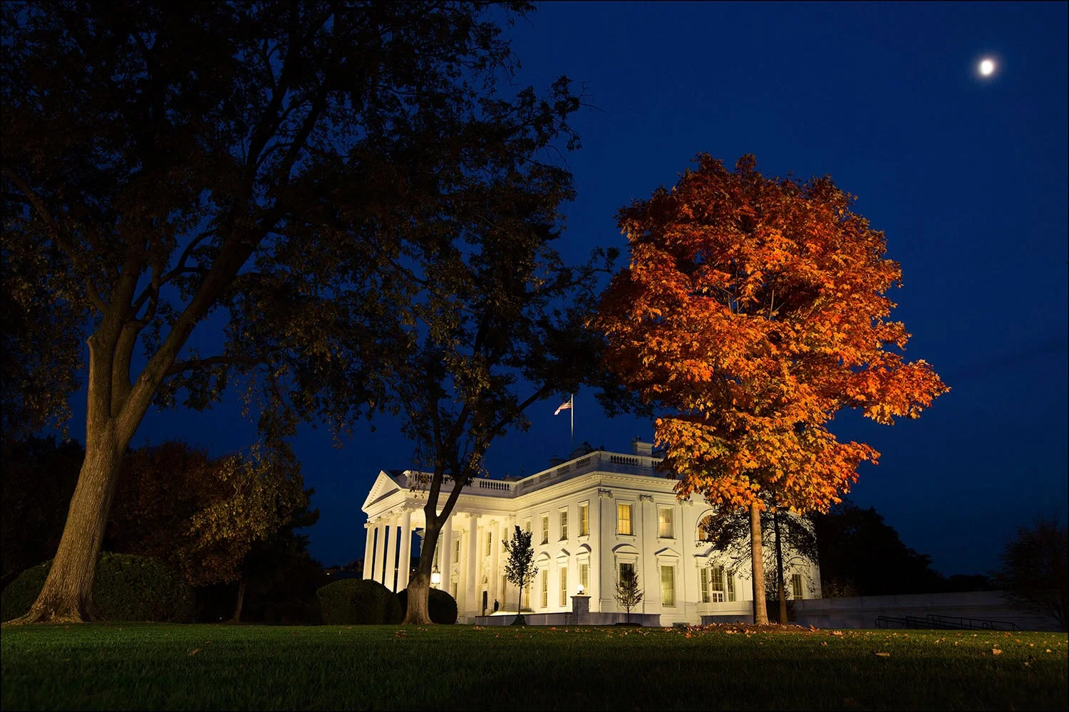 Fall foliage illuminated by television lighting on the North Lawn of the White House, Nov. 8, 2016. (Official White House Photo by Chuck Kennedy).