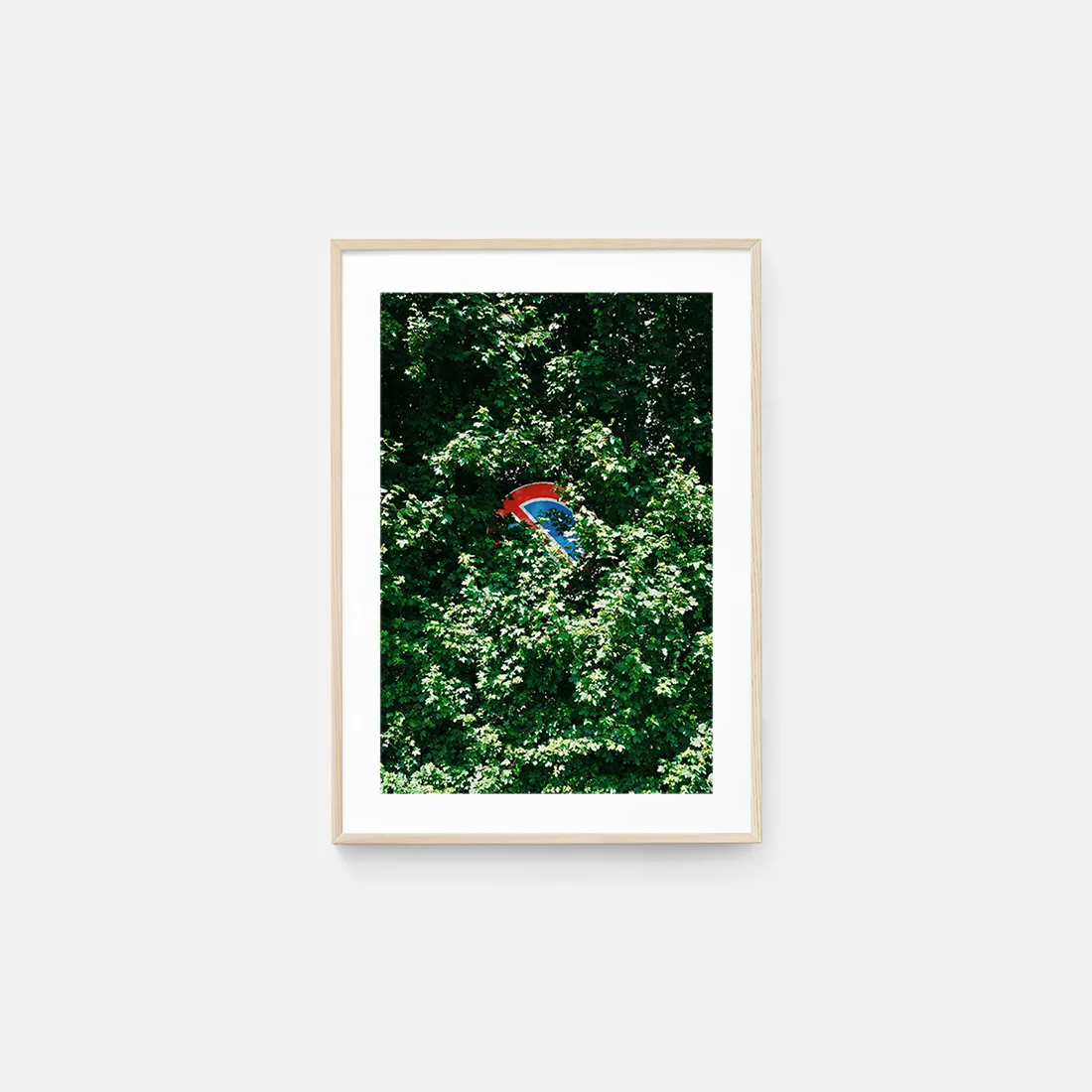 nicolas-fagot-untitled-2-fujifeed-prints-framed-1.jpg