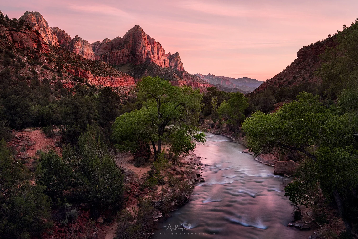 The red rocks of Zion National Park.