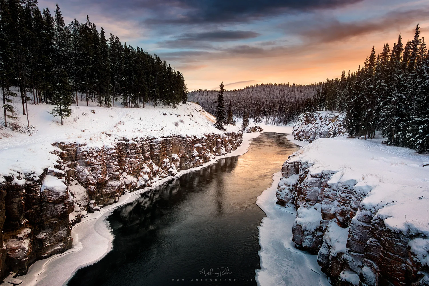 The canyon, the forest and me, Yukon.