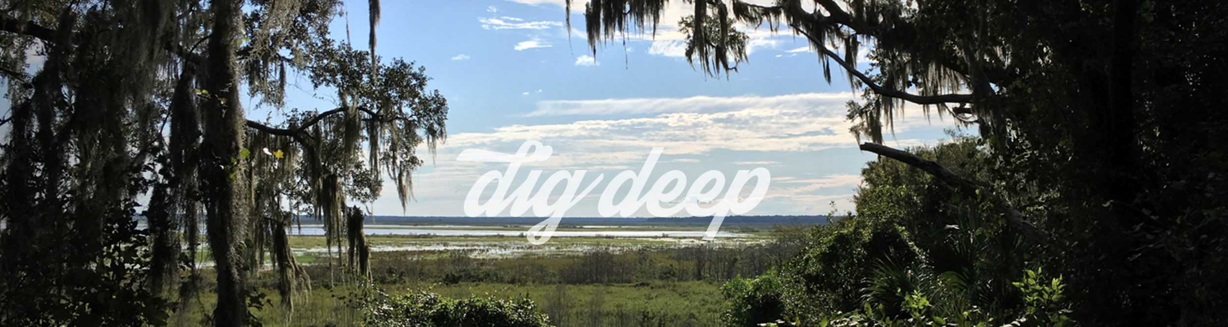 Photo of Paines Prairie preserve with text Dig Deep overlay.png