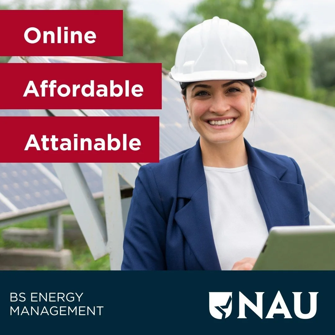 Bars- BS Energy Management-High-Quality.jpg