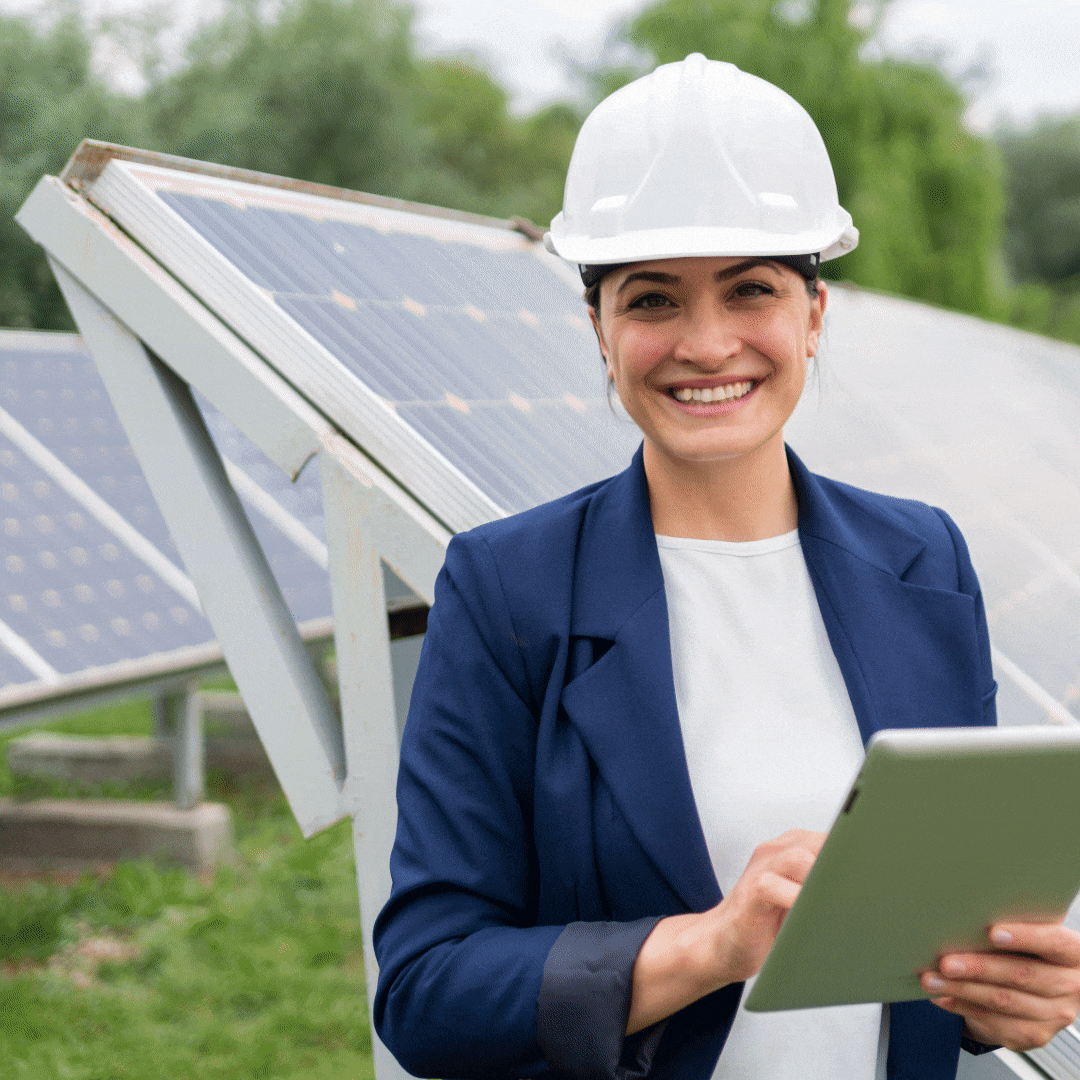 Bars- BS Energy Management.gif