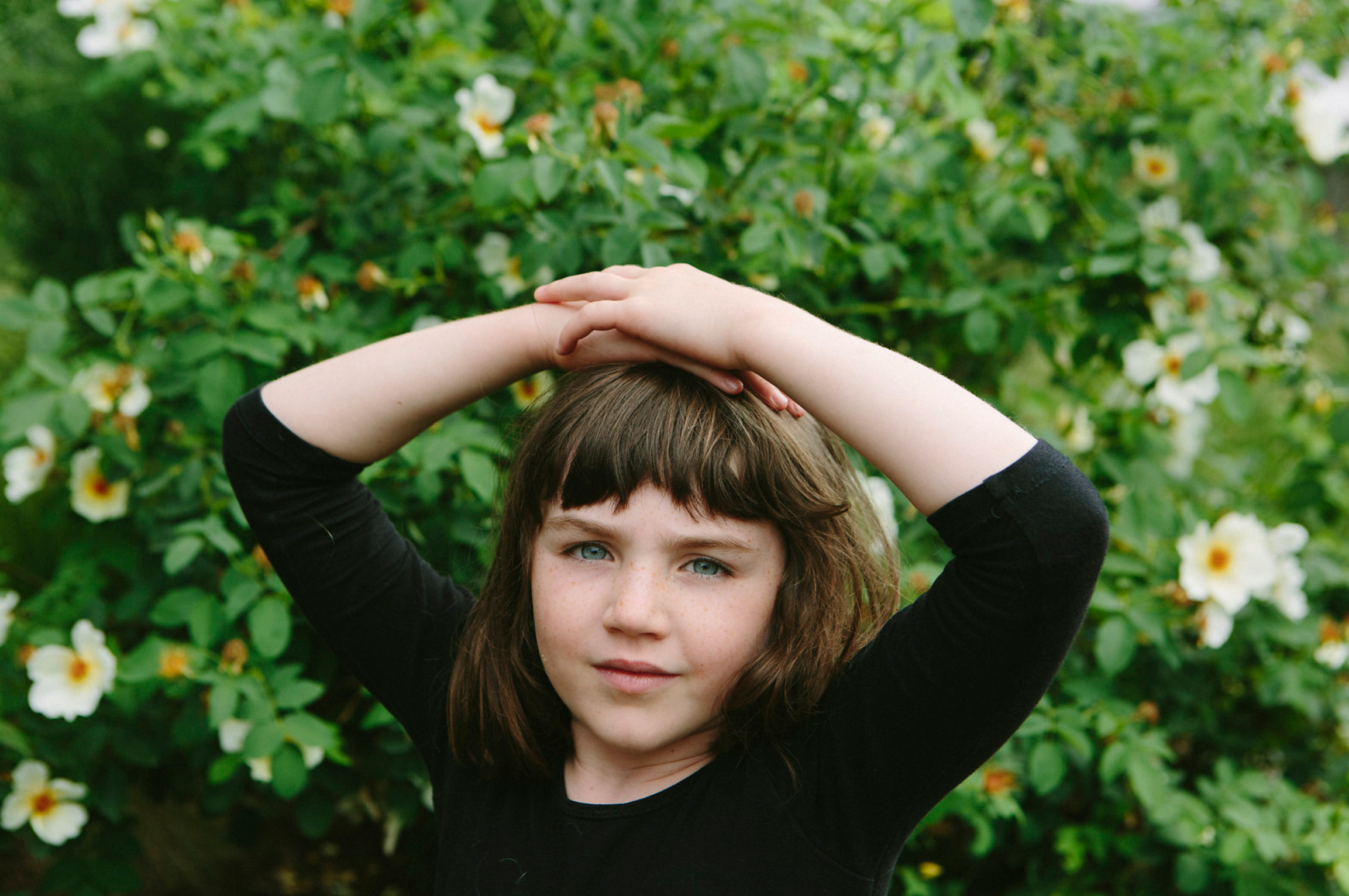 Screen Shot 2017-08-18 at 11.51.42 AM.png