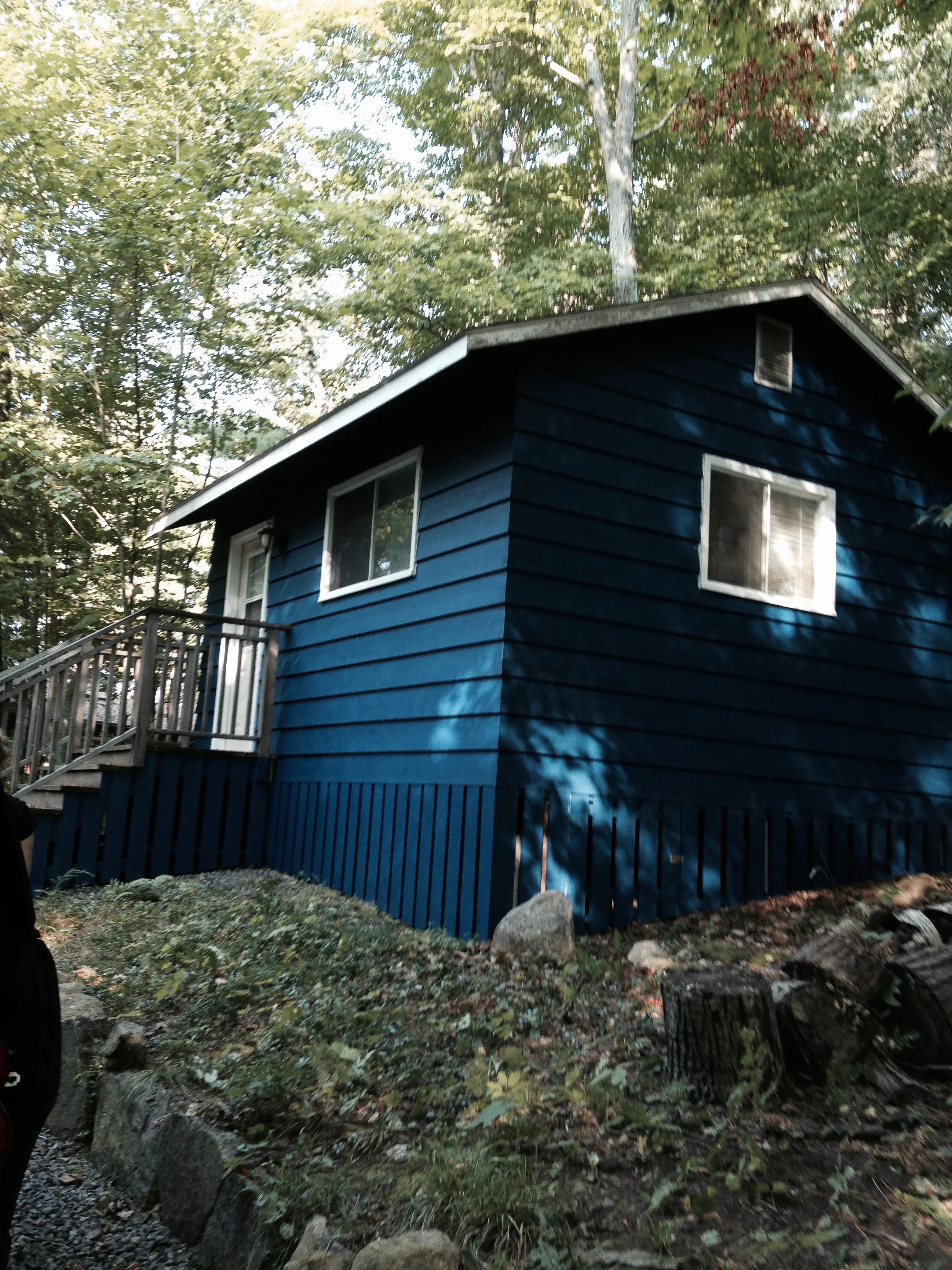 Bunkie
