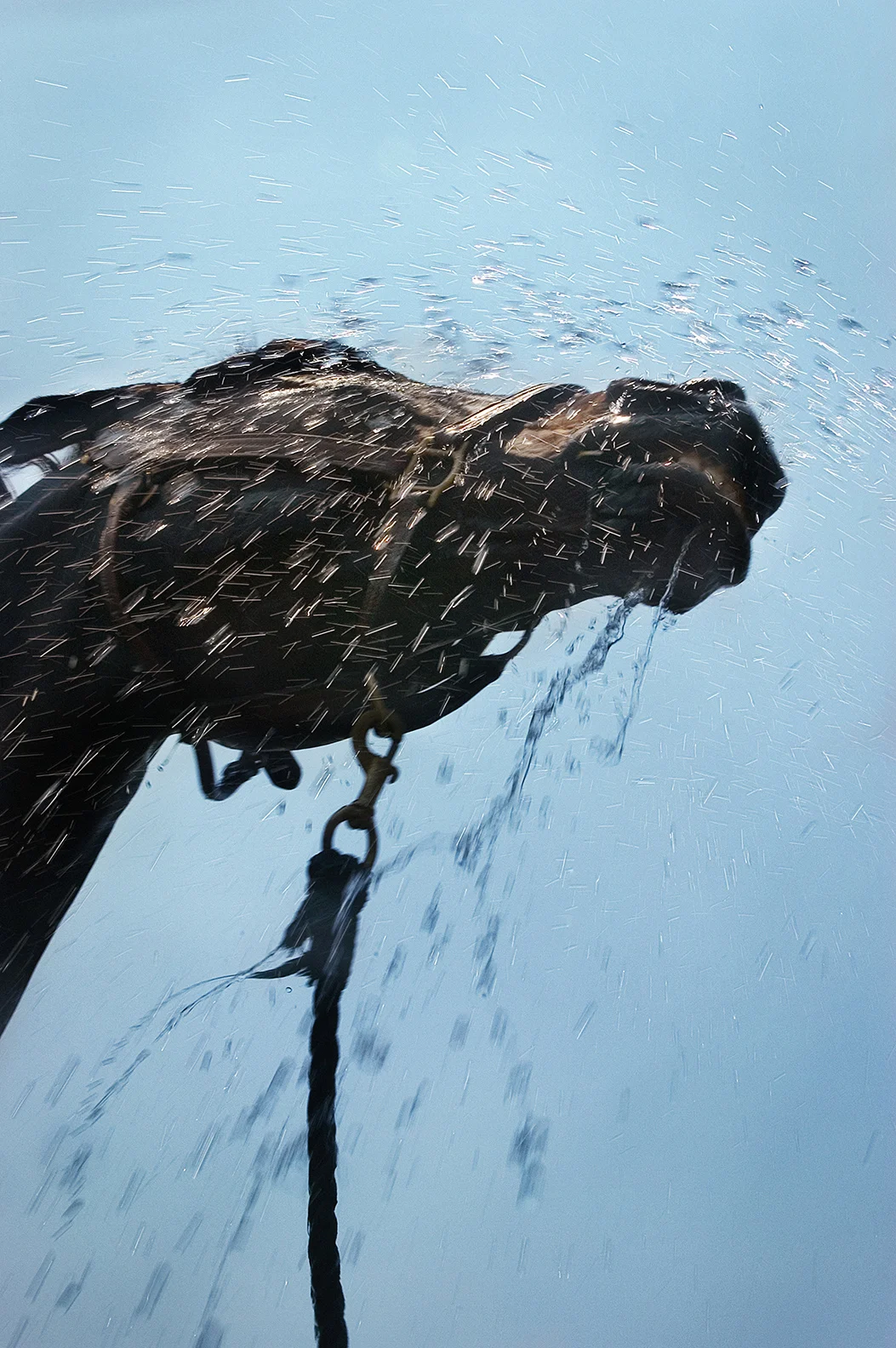 Untitled , by Shelli Breidenbach Photography