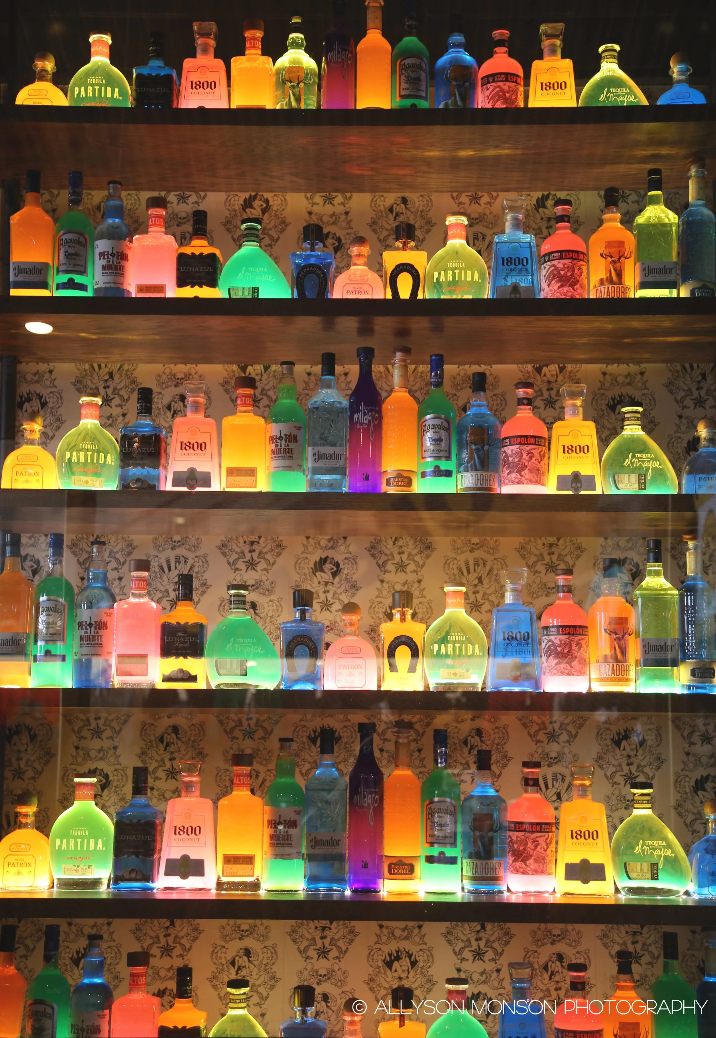 Glow Worms, by Allyson Monson Photography