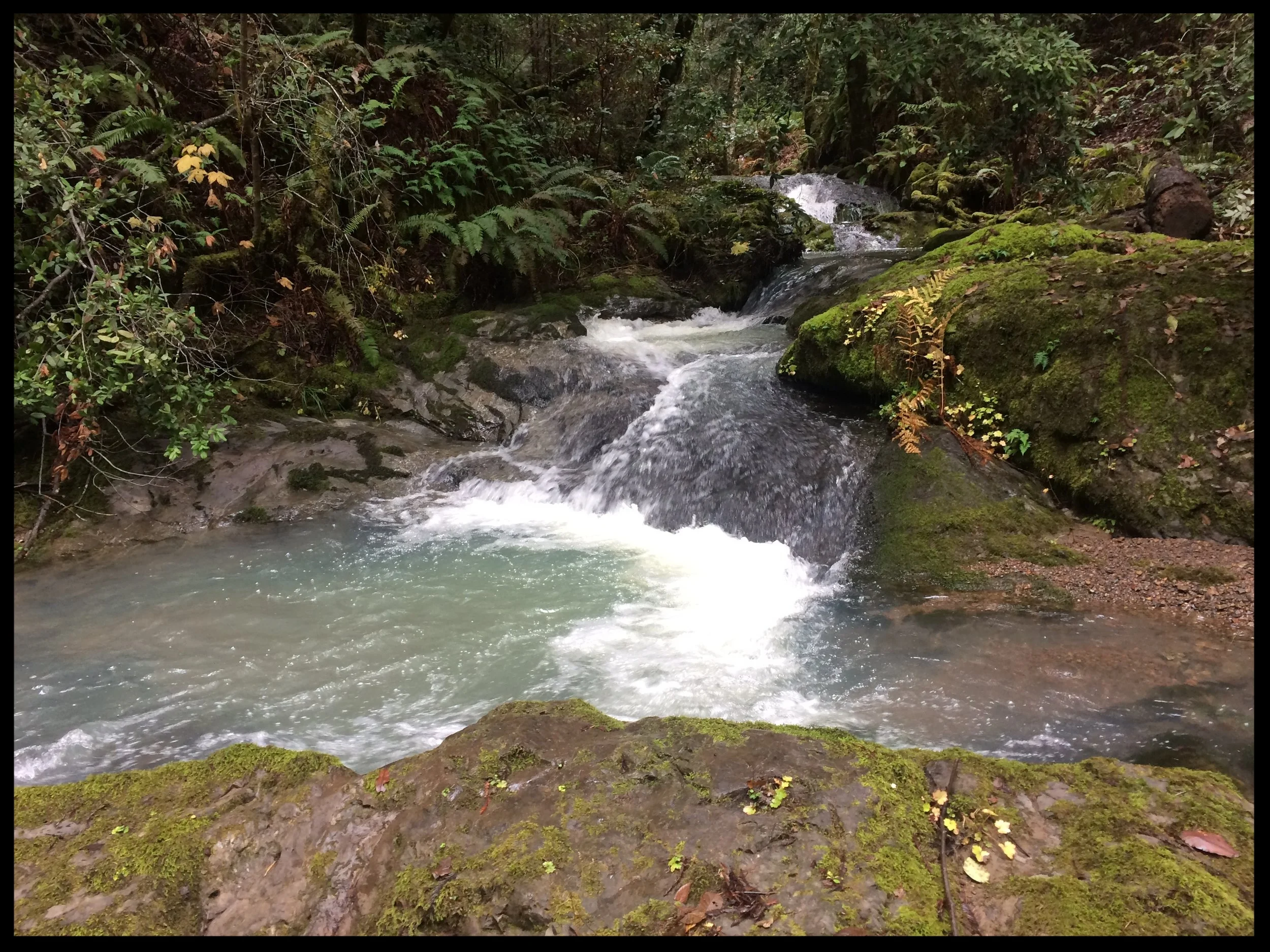 California Commercial Salmon Season 2017