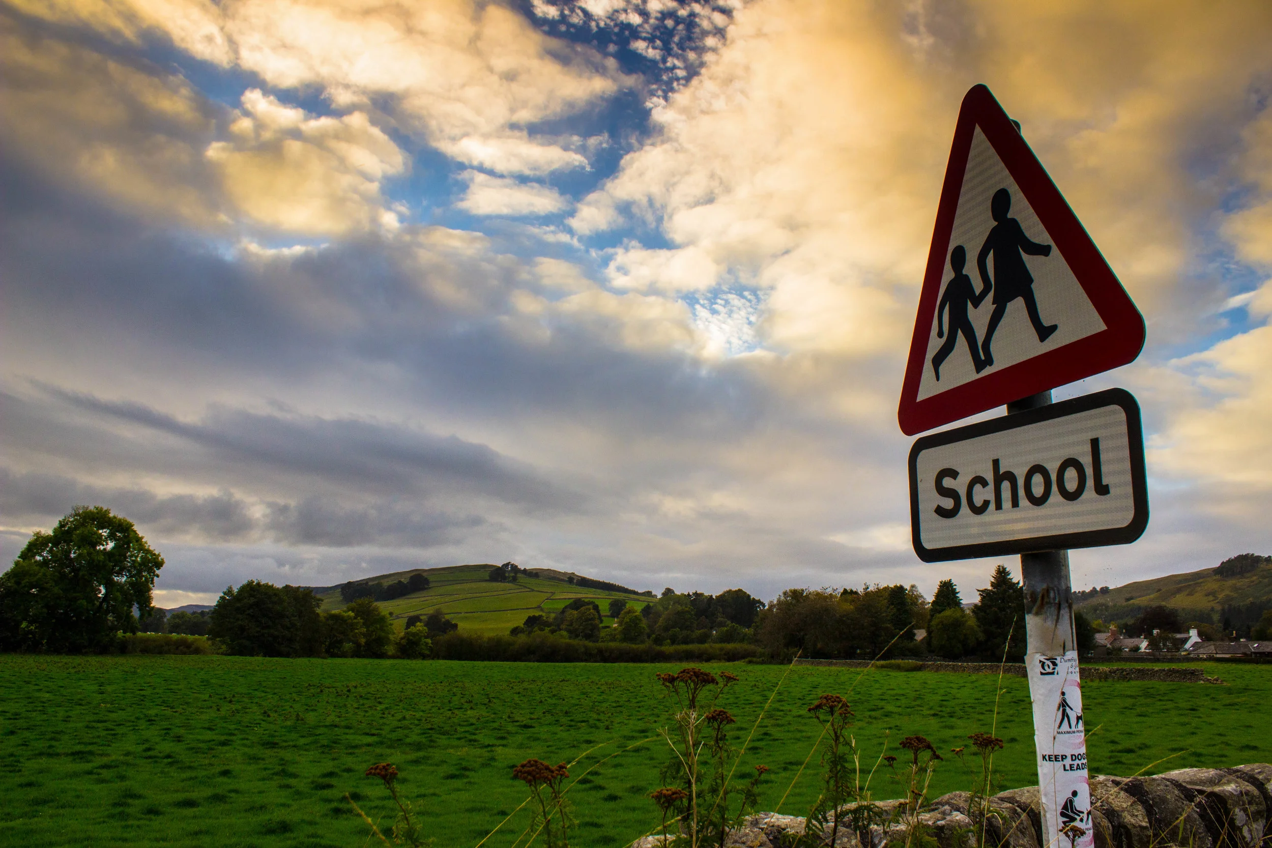 School sign.jpg
