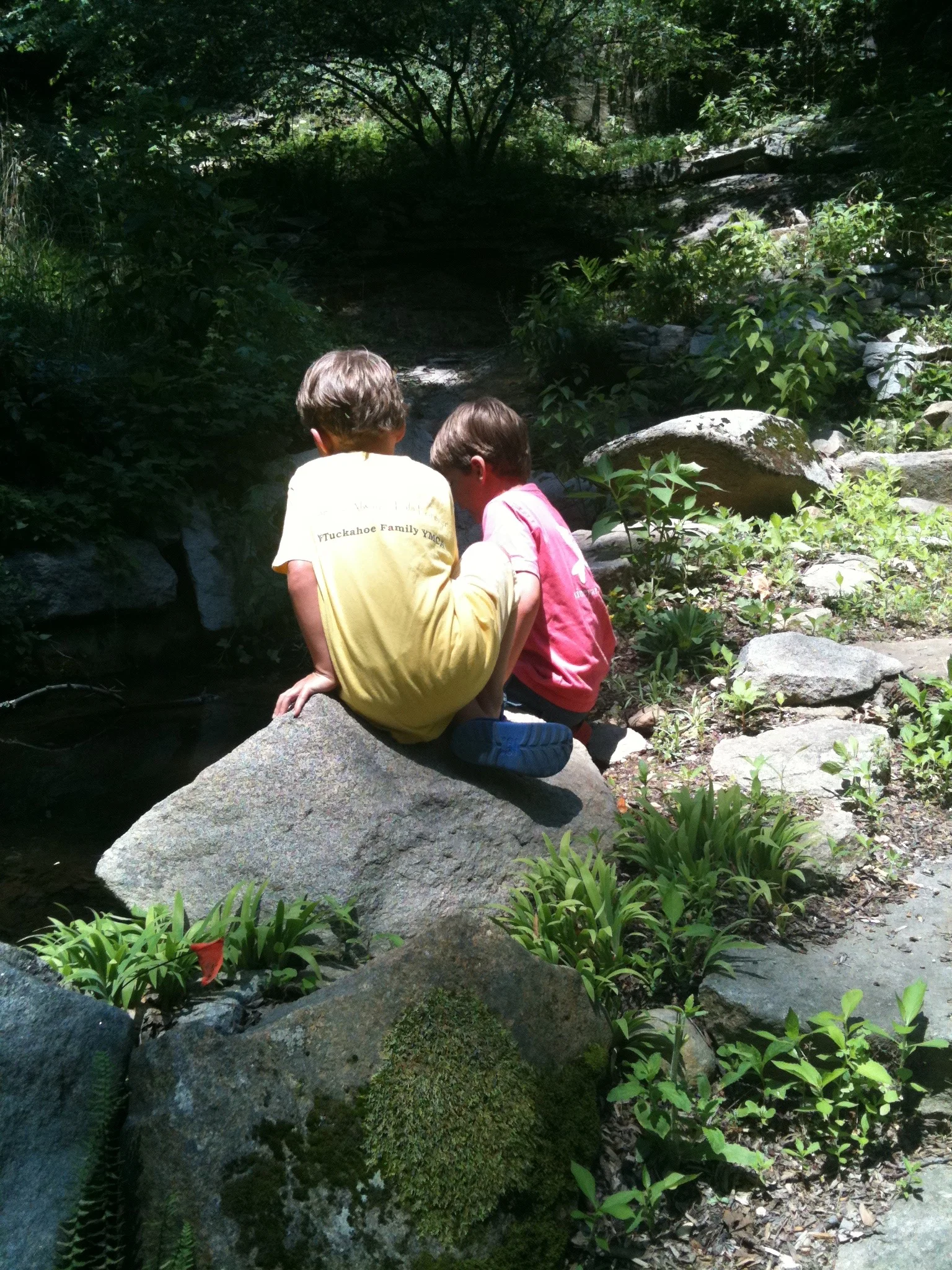 IMG_4350.jpg