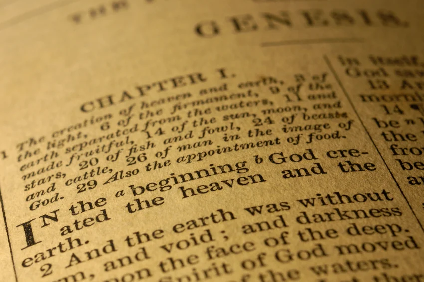 Bible Chapter 1.ashx.jpg