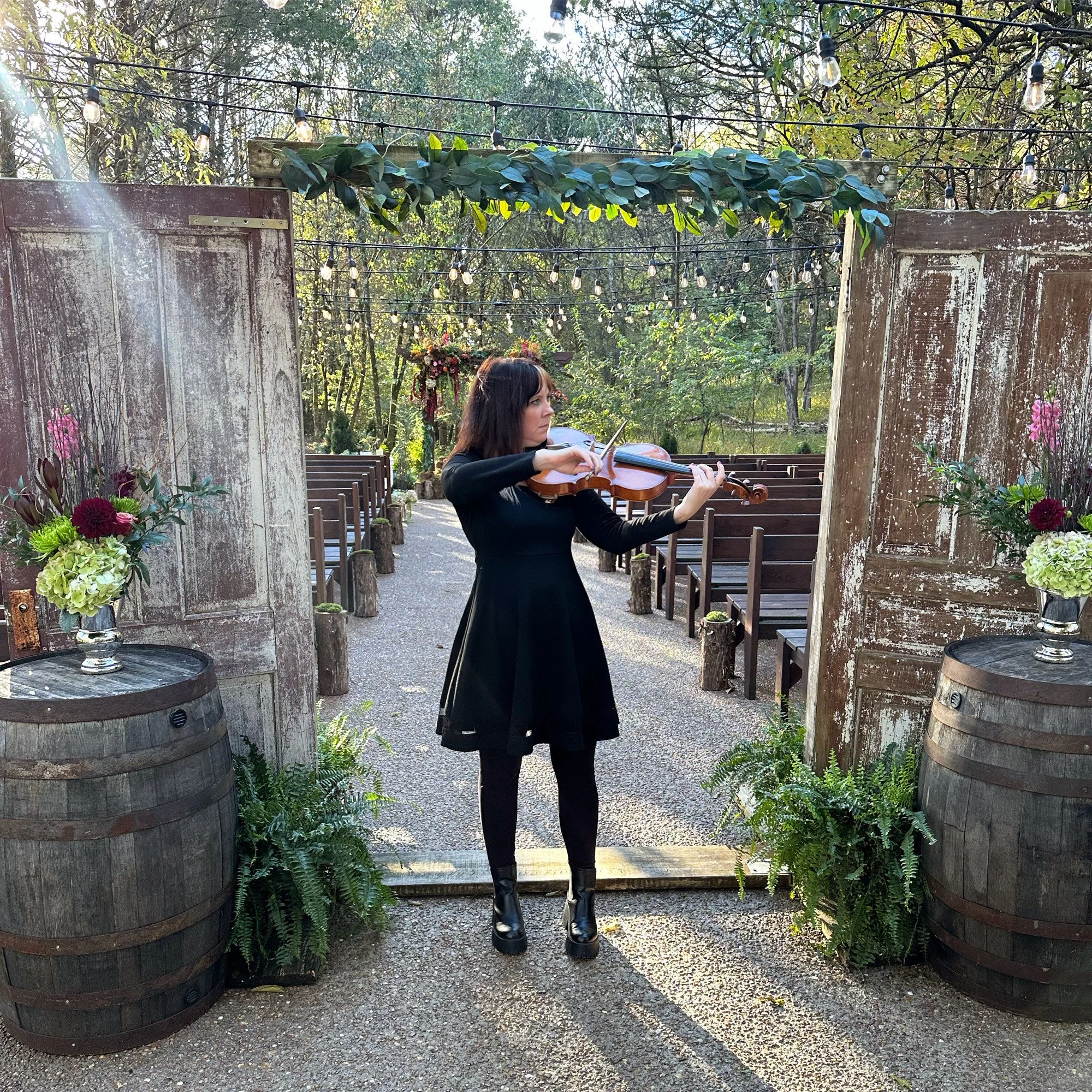 violinist, violist, teacher, performer